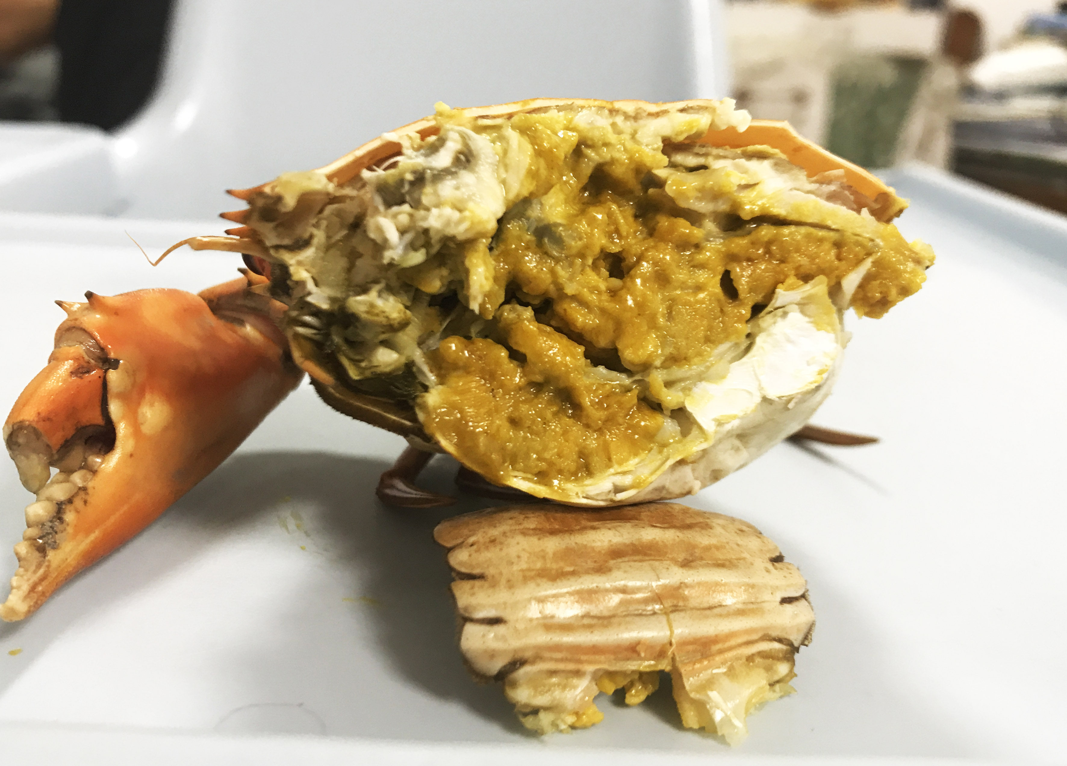 奄仔海鲜鲜活水产母蟹平民黄油1斤包肥包2斤青蟹