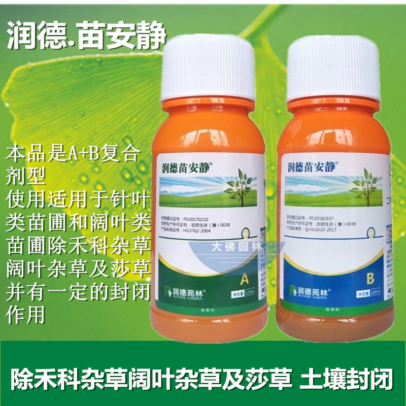 润德小苗尖叶叶草阔叶灌木绿篱苗木园林封闭除草剂