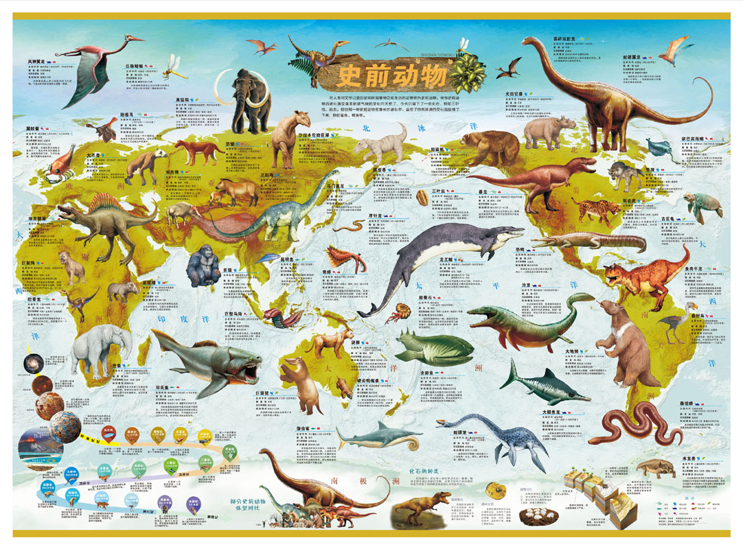 共4张全新版儿童地理地图挂图中国地图世界地图史前恐龙地图海洋鲨鱼