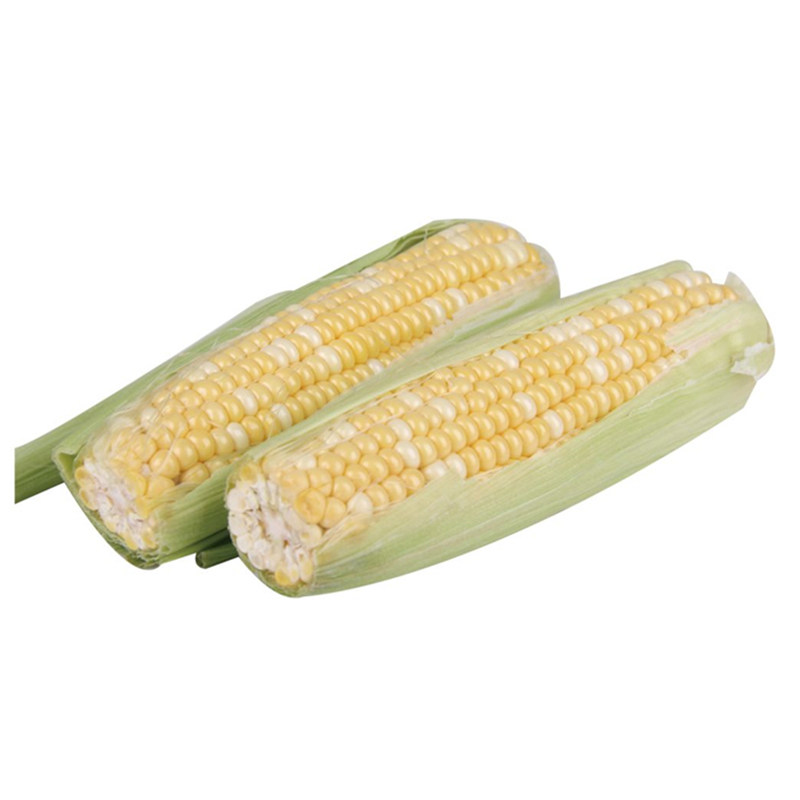 种子玉米超甜金银软糯香甜黄水果水果包粟农田家庭园艺种子