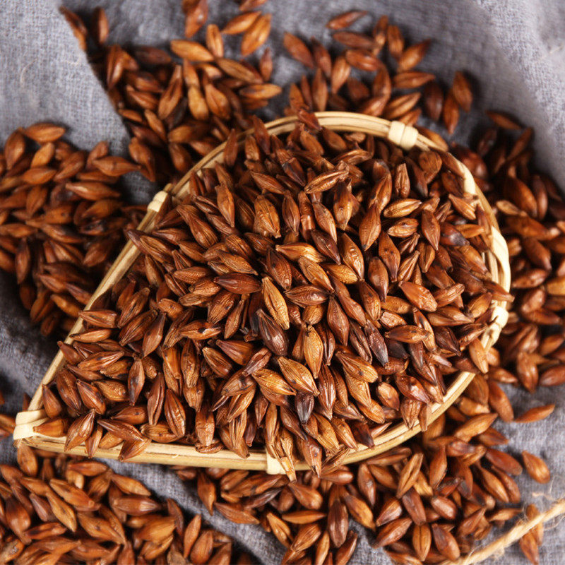 大麦茶饭店专用养胃正品特级清香型散装500g黄苦荞茶罐原味小袋装