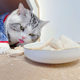 Meini snails fresh meat freeze-dried raw meat for cats and dogs snacks chicken breasts chicken diced beef kittens adult cats nutrition Meini snails fresh meat freeze-dried raw meat for cats and dogs snacks chicken breasts chicken diced beef kittens adult cats nutrition