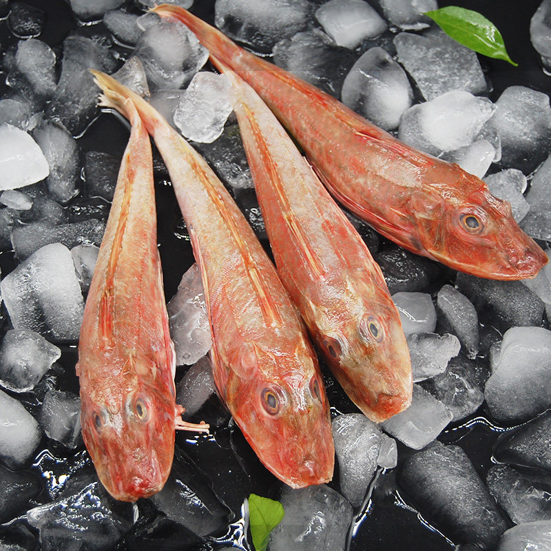 青岛新鲜红娘3斤绣鞋鲜活冷冻海鱼杂鱼红鱼其它