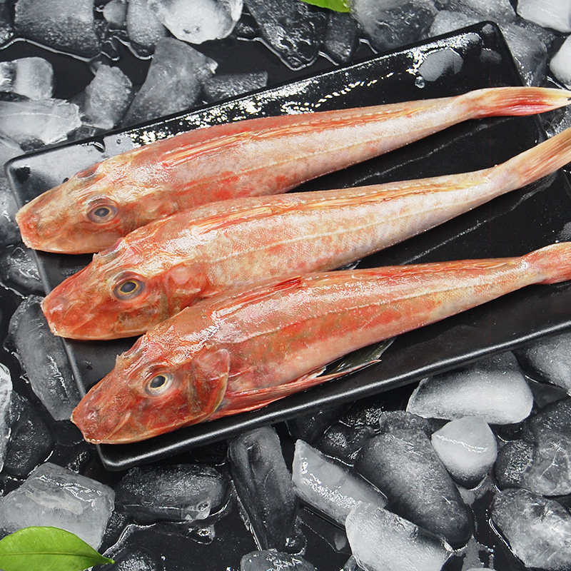 青岛新鲜红娘3斤绣鞋鲜活冷冻海鱼杂鱼红鱼其它