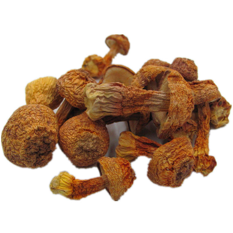 干货松茸姬松菌类井冈山特产精选煲汤佳品100克姬松茸