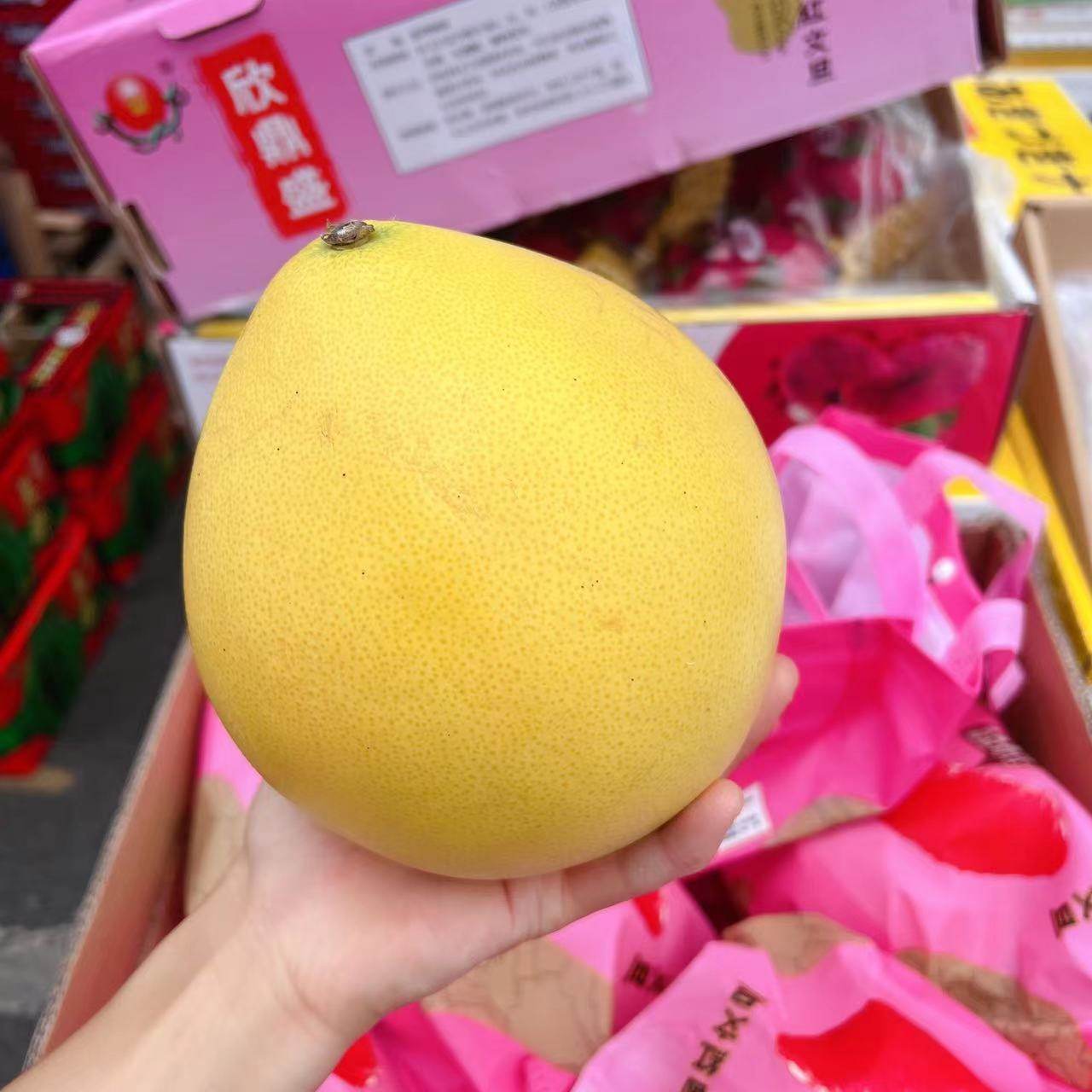 文旦柚子台湾品种红心柚甜蜜柚桃园原箱礼盒柚子