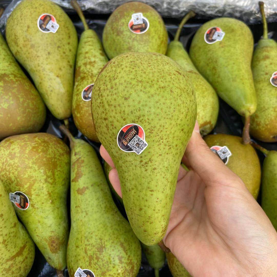 进口比利时啤梨4斤荷兰青啤新鲜当季水果梨子梨