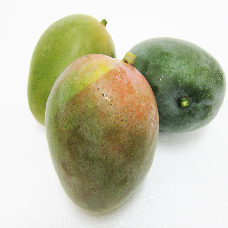 精选大果2-3个整箱6斤 海南三亚 青皮澳芒 新鲜芒果熟 水果包邮