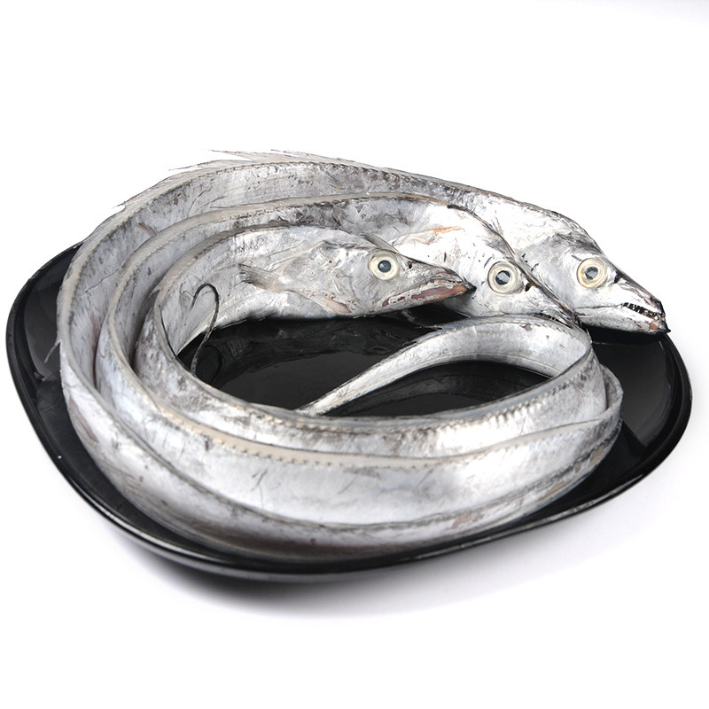 3斤5条舟山带鱼东海野生水产深海刀鱼中段带鱼