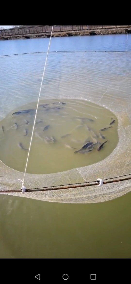 乐水渔网米六直径圆形搬网抬网提网便携捕鱼鱼网