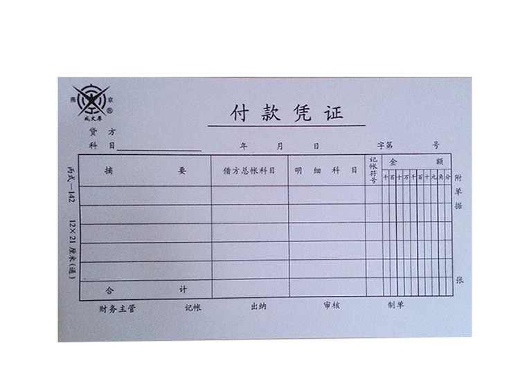 凭证付款成文手写记账全国通用会计21x12cm凭证