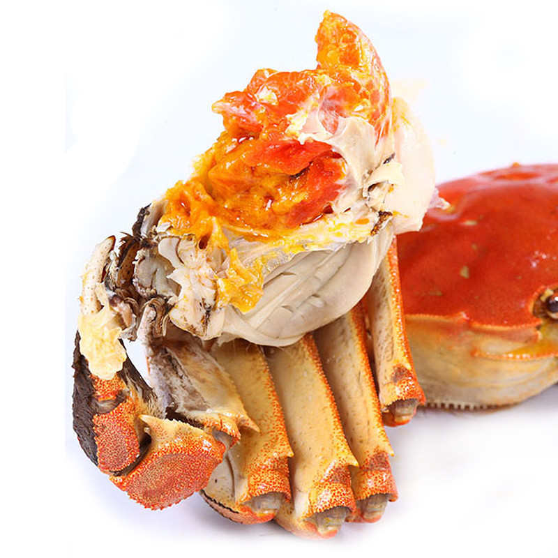 大闸蟹鲜活全母蟹3.9-3.6两母蟹10只特大鲜活螃蟹现货礼盒