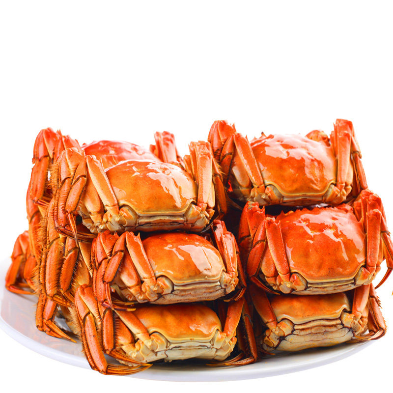 解将军阳澄湖大闸蟹鲜活现货全母2.0两8只