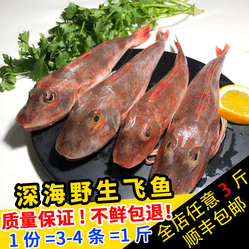 丰渔东海野生新鲜飞鱼500g海鲜水产红角深海其它
