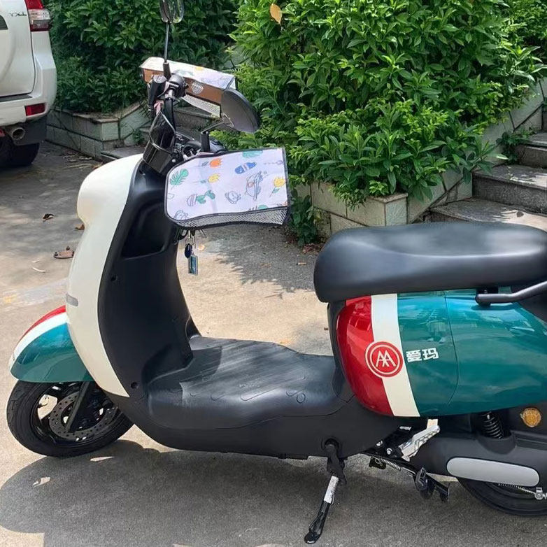 爱玛欣果q101电动车后备tdt4164z电瓶电瓶车车尾q321电动车后备箱