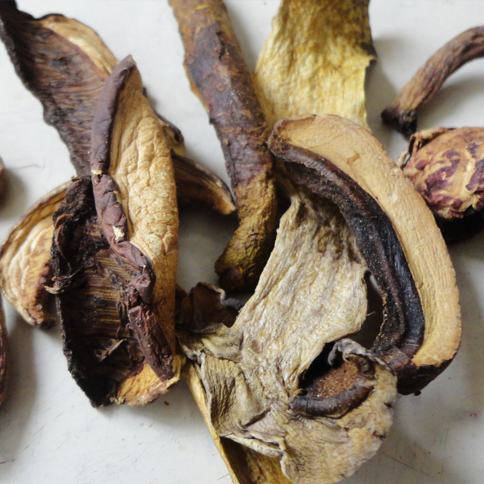 野生哀牢彝家菌黑牛肝菌黑牛黑木天然干货100克香菇类