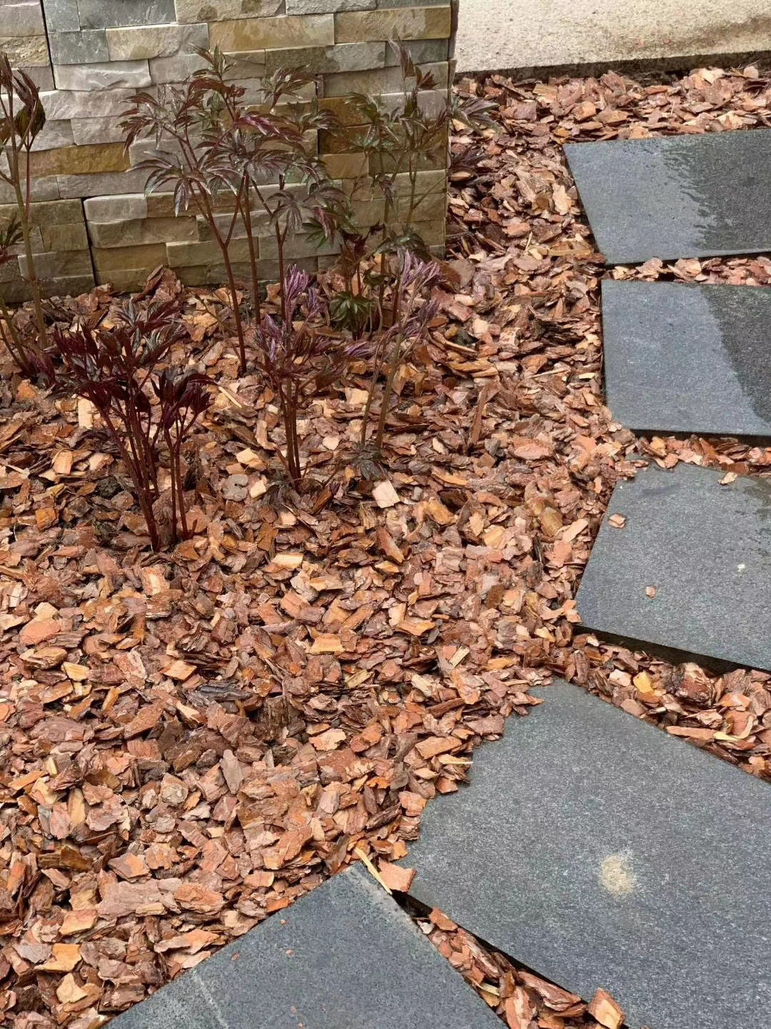 松鳞松树树皮爬虫花盆覆盖打磨型500g克中促销介质