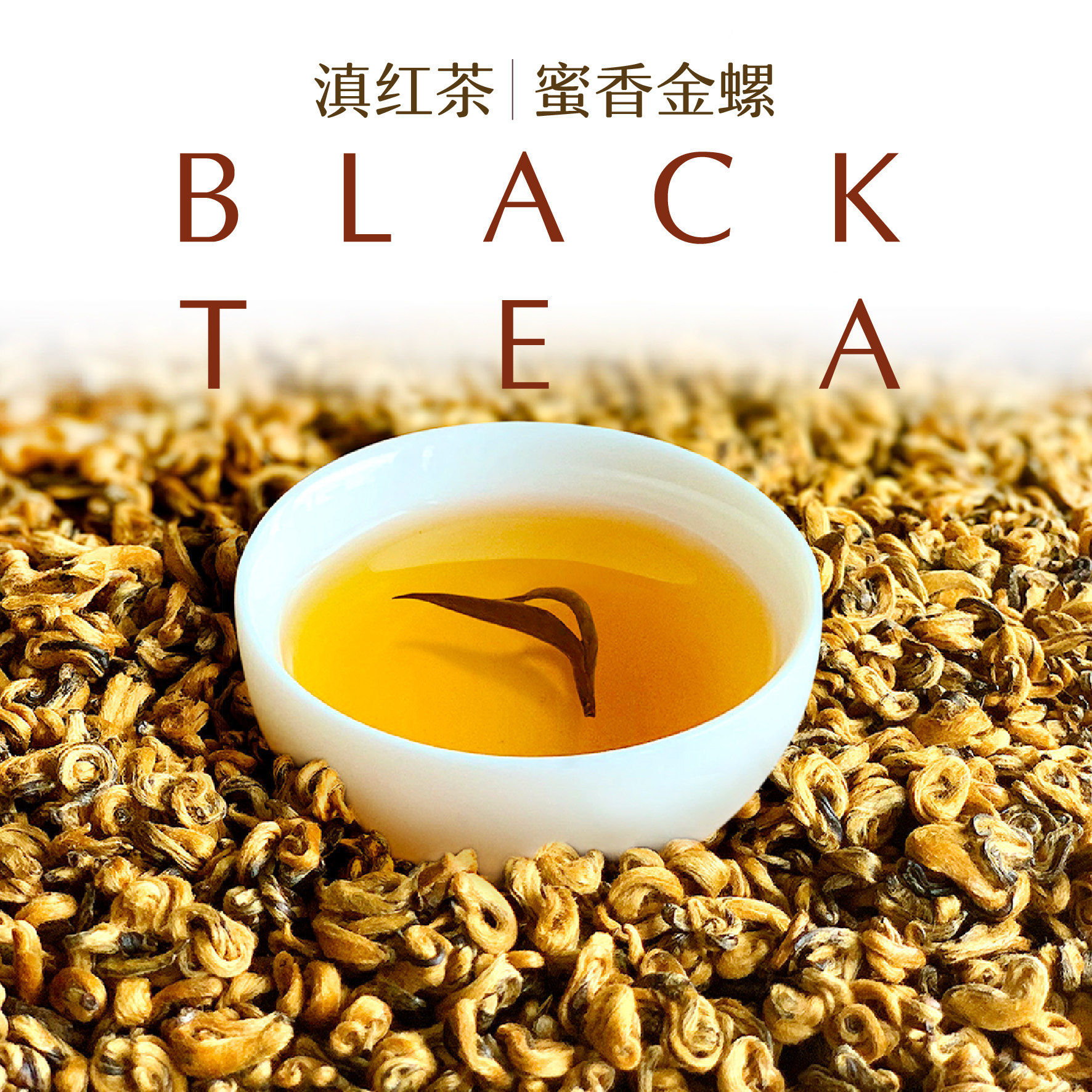 金螺袋泡茶茶叶红茶黄芽滇小金芽归客黄金螺凤庆云南滇红