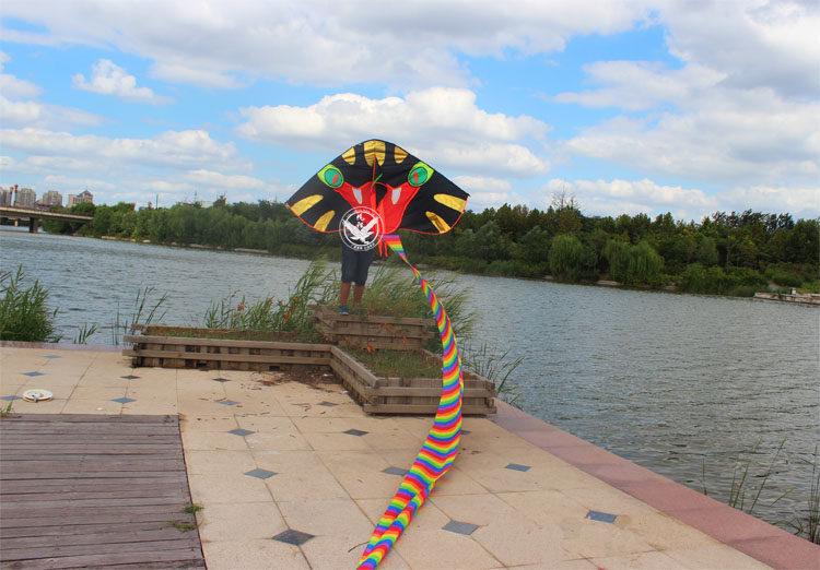 风筝新款眼镜蛇儿童长尾包邮适合初学者好飞风筝