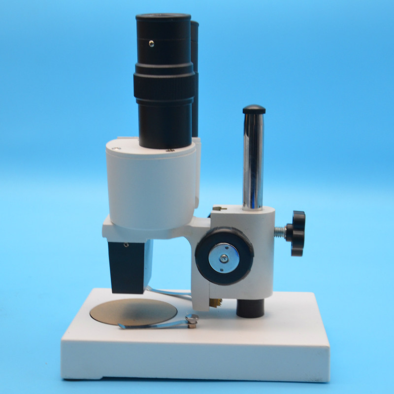 双目立体显微镜40x40倍中学实验仪器教学仪器生物仪器显微镜