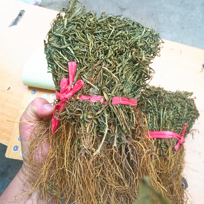 水灵芝正品中药材新货纯净黄连鱼胆100克包邮其他药食同源食品