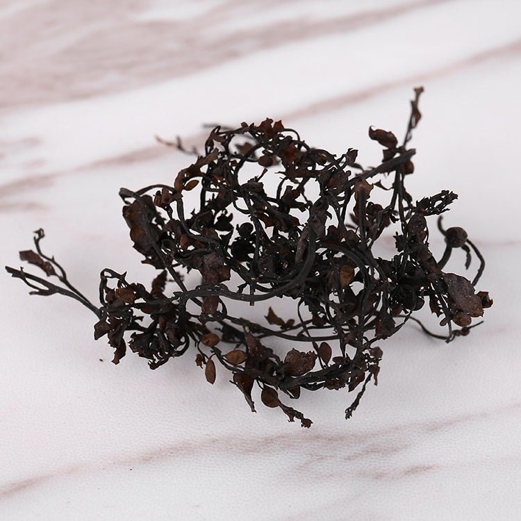 海藻500克大叶中药材供应根菜海草2件包邮其他药食同源食品