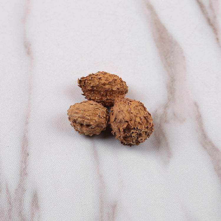 春砂500g缩沙野生阳春砂仁缩砂蜜砂中药材供应其他药食同源食品