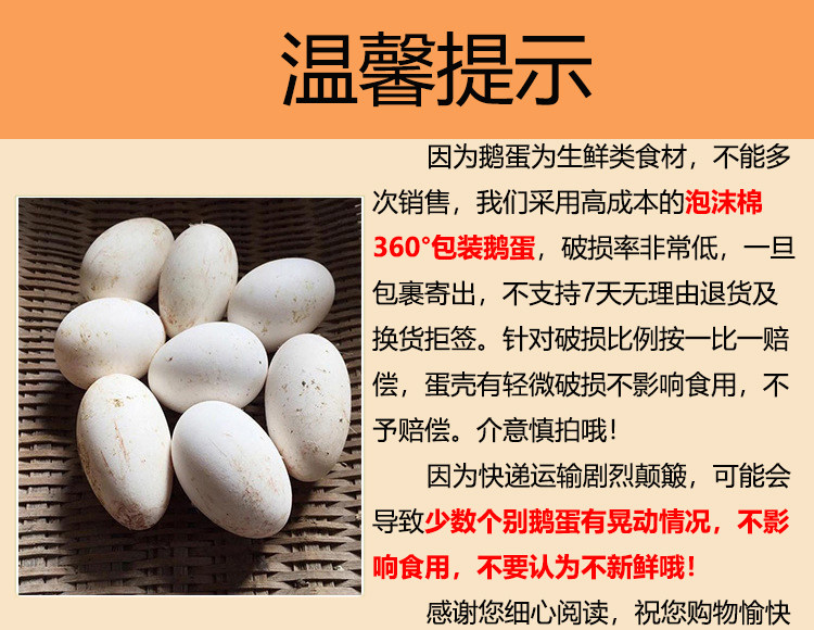 农家新鲜白鹅初生生蛋孕妇胎毒12枚包邮鹅蛋