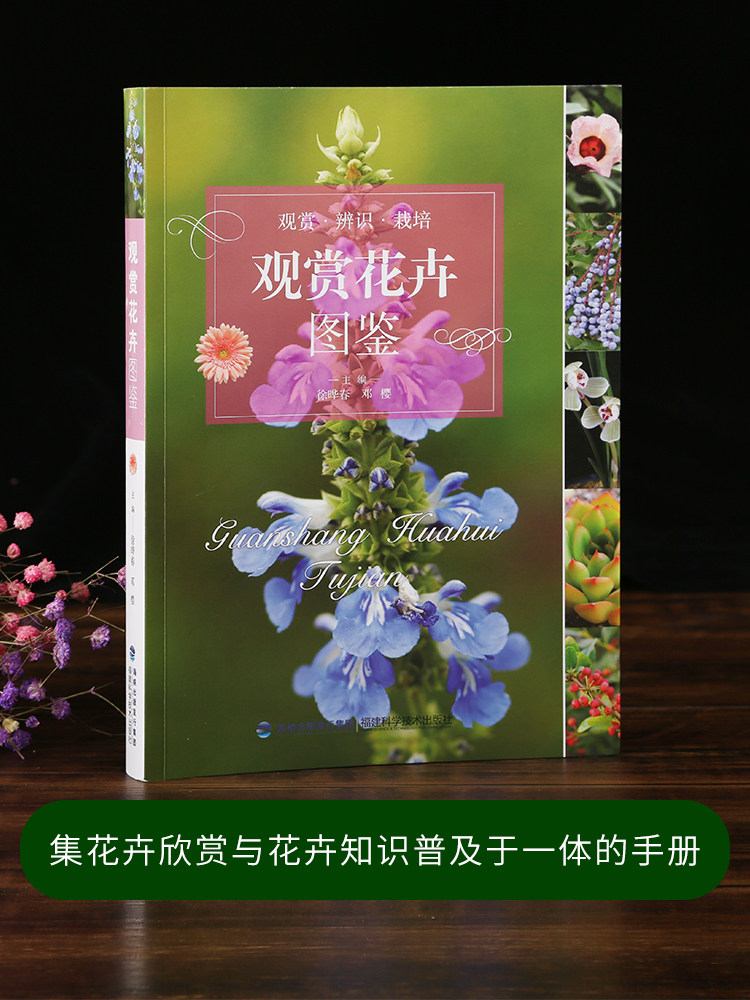 花卉养花图解正版书籍植物教程花艺速查花草树木社会学