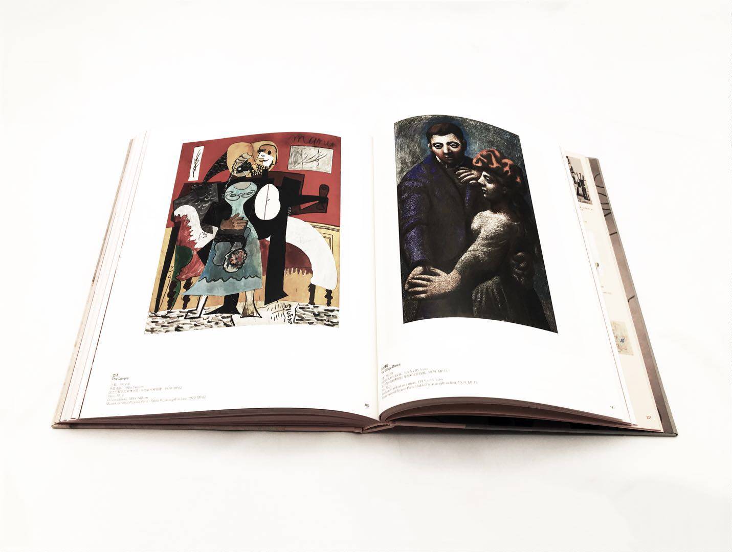 毕加索当代文化艺术书籍美术家艺术家画册画集传记艺术中心绘画新