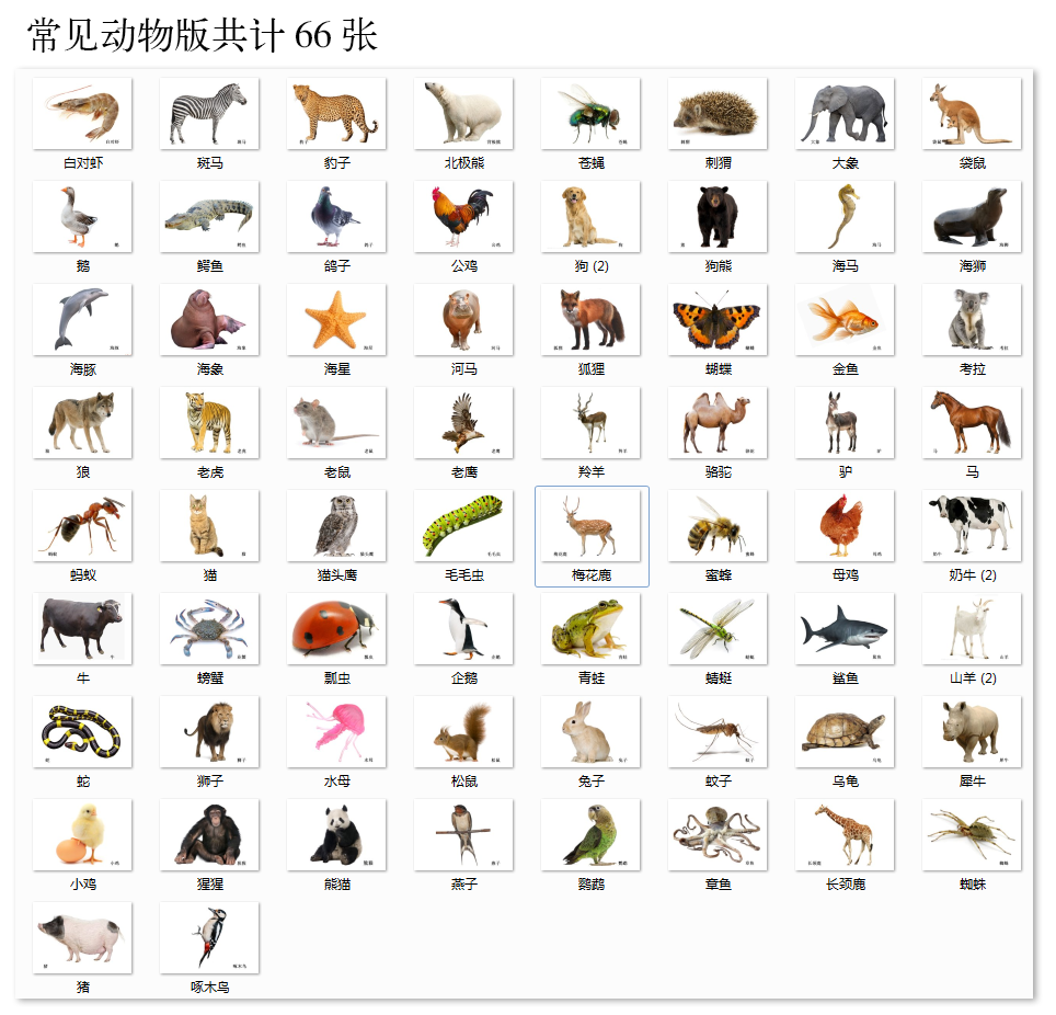 动物类儿童早教认知卡片自闭症康复aba训练语言早教闪卡