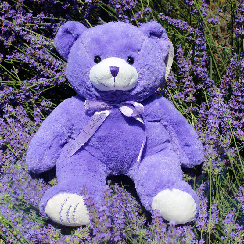 新疆伊犁薰衣草小熊紫色公仔枕头娃娃助睡眠抱抱熊毛绒可爱送女友-mc