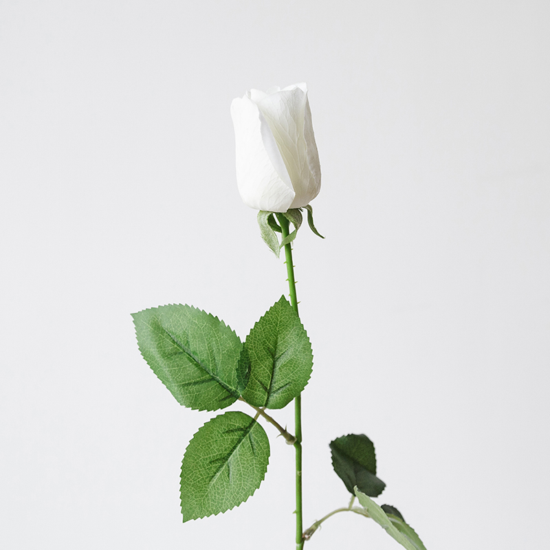 伊莎世家 仿真玫瑰花高品天使玫瑰微湿玫瑰花苞白色单支手感型花