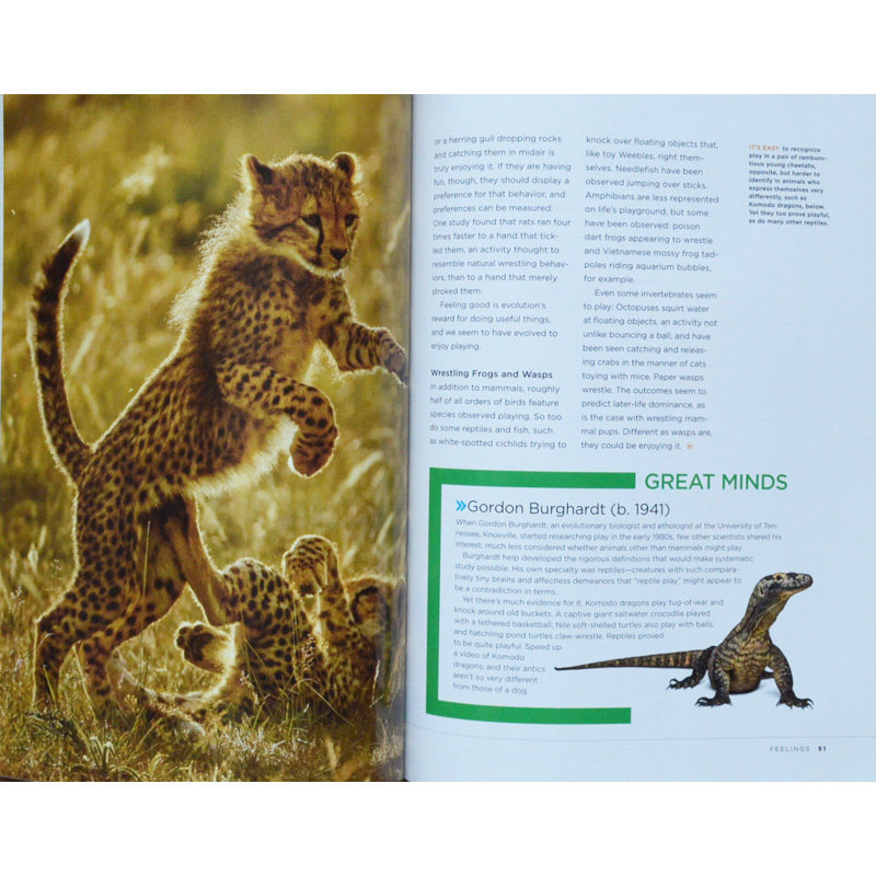 【期刊杂志】美国国家地理特刊 inside animal m