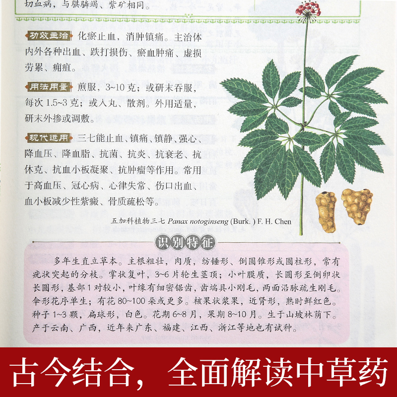 本草纲目正版李时珍全集彩图 图解本草纲目彩图版 李时珍原著 中医