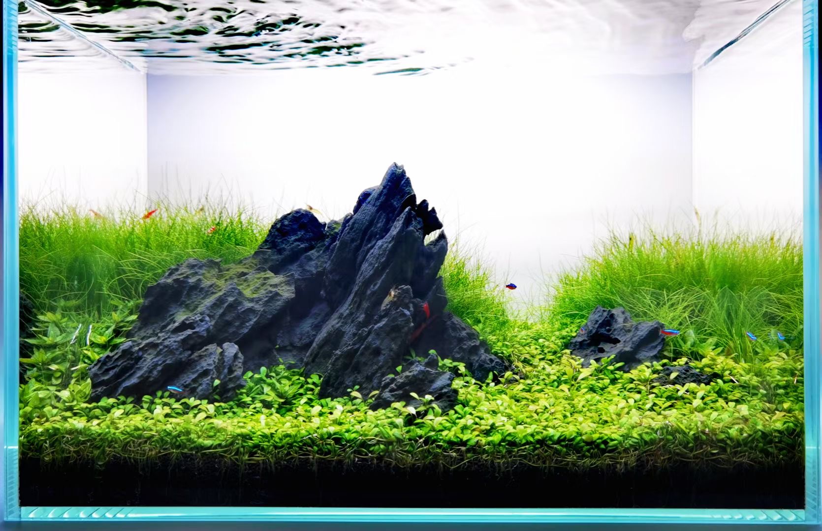 水草缸造景骨架,山行骨架,沉木骨架,一体骨架