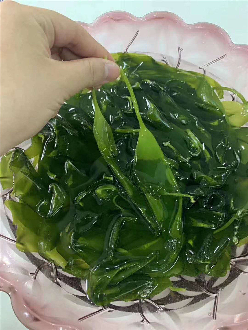 海带霞浦蓝色三秒凉拌火锅包邮1斤芽小特产海带