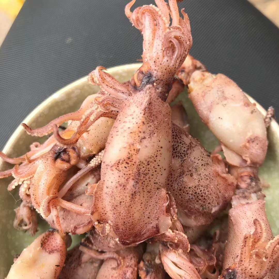 新晒海兔野生乌贼湛江鱿鱼筒带小墨鱼笔管500克鱿鱼干