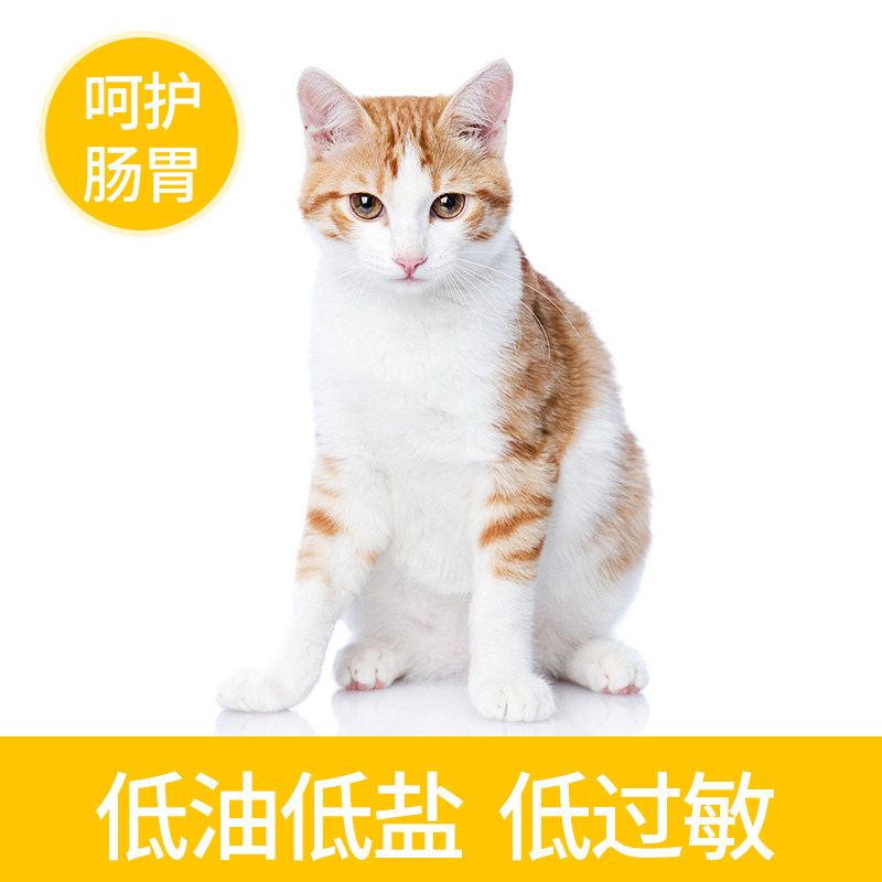 猫粮朗仕无谷鲜肉1.5kg三文鱼配方粮幼猫成英短猫主粮