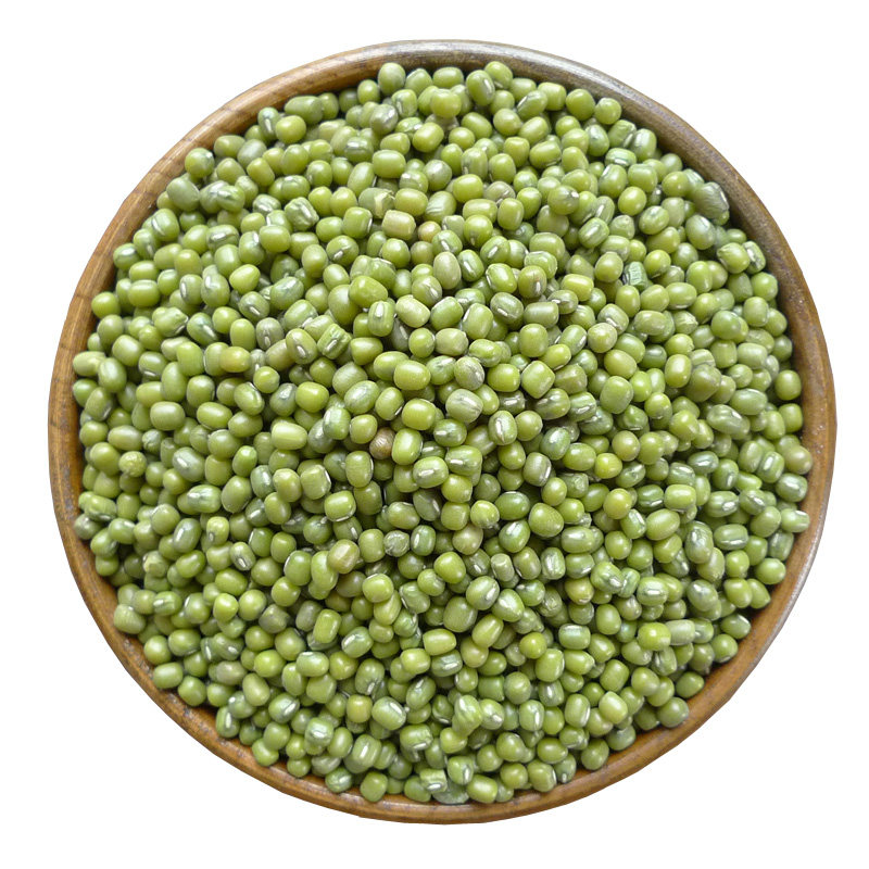 绿豆高原优选颗粒饱满均匀豆芽绿豆汤精选5斤绿豆
