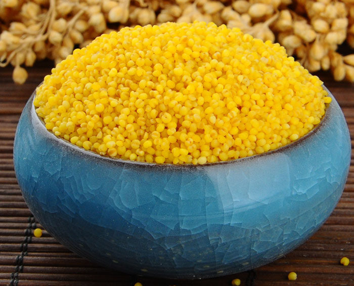 小米礼盒 蔚县贡米蔚县桃花小米5桶礼盒装 馈赠亲友礼品3.5kg