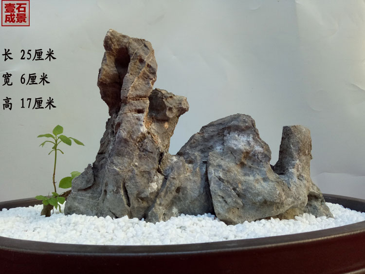 英石天然石头树抱石装饰奇石盆景造景造景