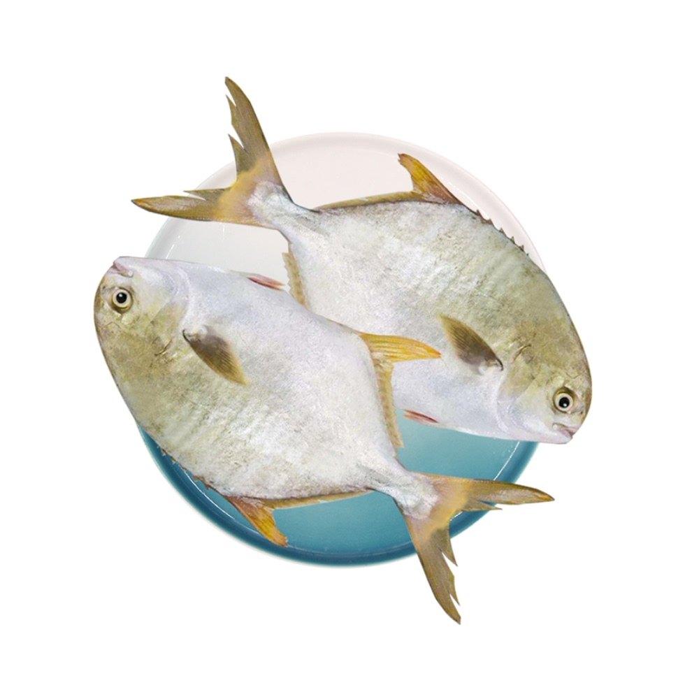 鲜城故事深海海金鲳鱼2条装700g冷冻海鲜水产鲳鱼