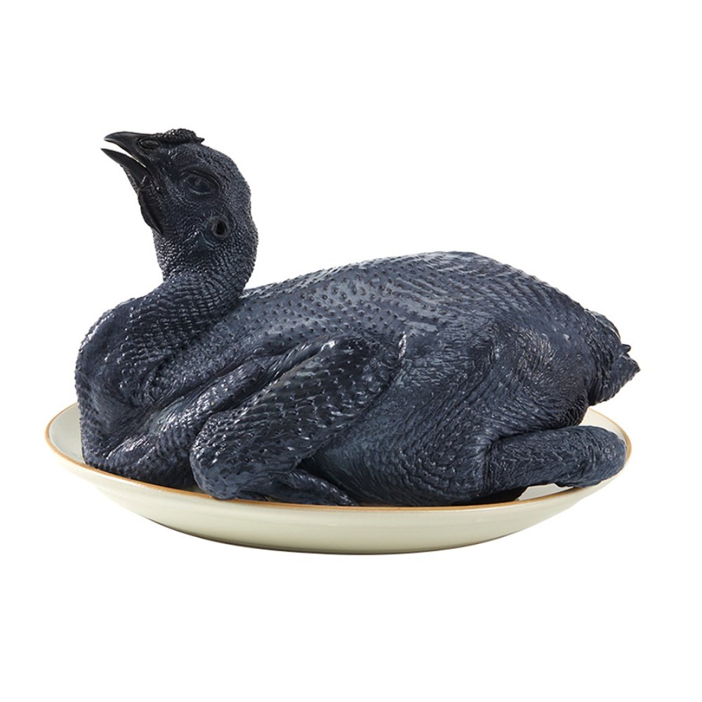 温氏乌骨鸡鸡肉800g原粮慢养乌鸡农家土鸡正宗整鸡