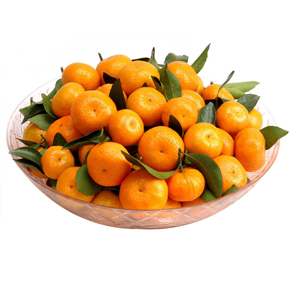 东方葵园顺丰整箱无渣甜蜜当季新鲜5斤蜜桔南丰桔子