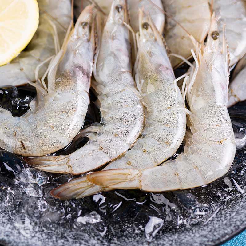 对虾禧美海鲜水产白对虾300g单冻国产白虾新鲜冻虾