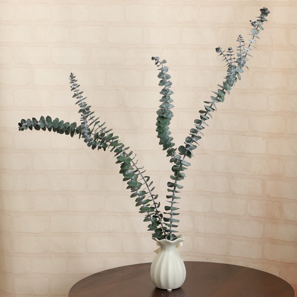 等花来铜钱桉插瓶花拍摄道具北欧文艺桉树叶永生花小尖叶尤加利叶