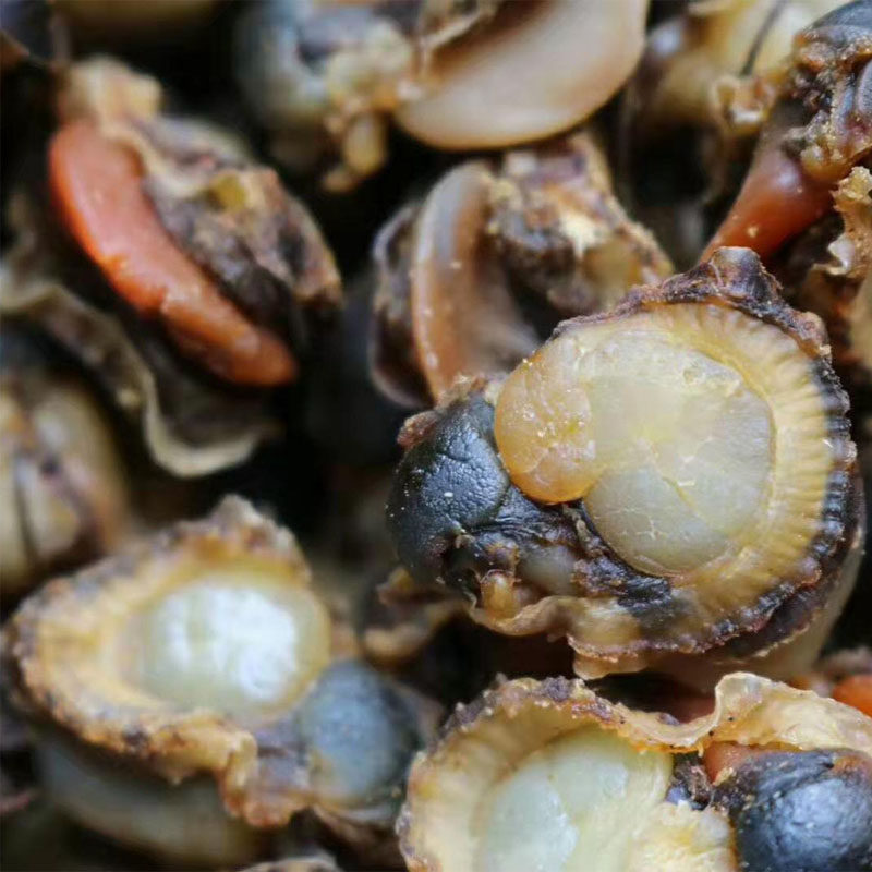 野生大全贝瑶柱螺干贝元贝扇贝螺肉海鲜海味干贝