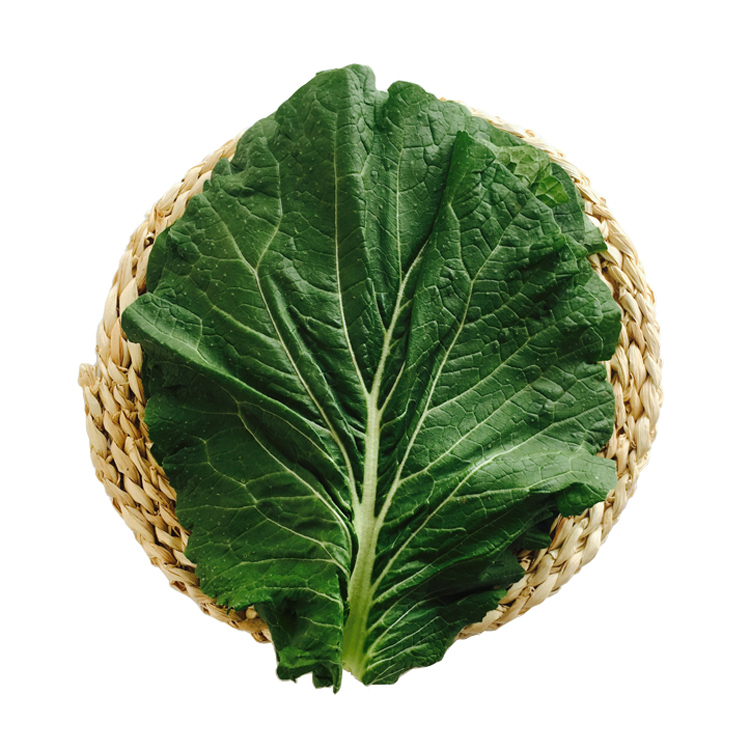 新鲜现发现摘酱菜叶子白菜大白包白菜包饭蔬菜叶菜类