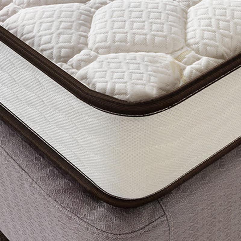 床垫罗兰之恋椰棕棕榈弹簧席梦思18m15米环保15cm椰棕床垫